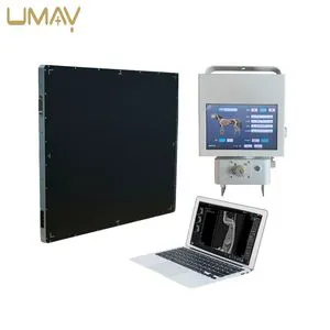 Durable Veterinary Pet X Ray Machine for Long-Term Veterinary Practices