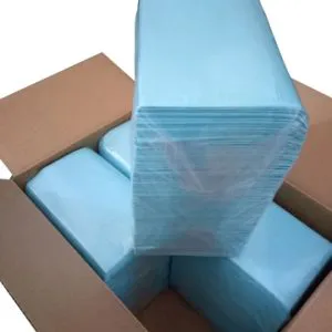 Disposable 2-Ply W/Poly Patient Bibs 13