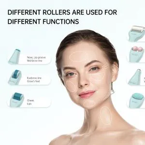 Ultimate Professional Derma Roller Set for Youthful Skin Renewal