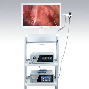 Medical Camera with White Balance and Video Storage