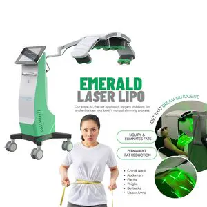 Advanced Non-Surgical Emerald Laser Fat Reduction 532nm Cold Laser
