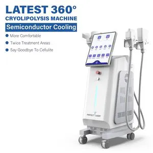 Efficiency Cheap Fat Freezing Body Shaping Cryolipolysis Weight Loss Machine