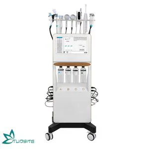 2024 Professional Vertical Pigment Remover H2O2 Hydro Peel Facial Machine