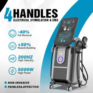 CE/FDA RF EMS Big Muscle Increase Building Pelvical Floor Trainer Beuaty Equipment