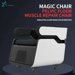 EMS Magic Chair for Vaginal Health and Beauty Treatments