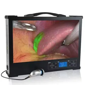 High Quality Medical 4K and Full HD Integrated Endoscope Camera with Cold Light Source
