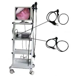 High Quality Fiber Optic Endoscope Light Source Veterinary Flexible Endoscope