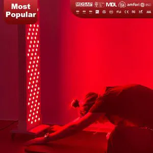 900W New Arrival Red Light Panel Light Red Light Therapy LED Lamps Portable Panel Rebate for Dpl II Red Light Therapy Panel Wholesale Inventory