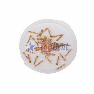 Dental Stainless Golden and Sliver Plated Screw Post 12 PCS Dental Material