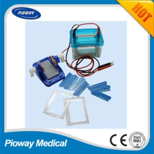 Electrophoresis System for Protein Electrophoresis, Vertical (DYCZ-24DN)
