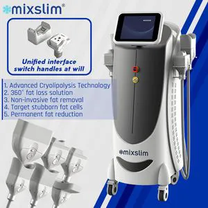 360 Cryolipolyse Cellulite Reduction Cryolipolysis Cool Body Sculpting Slimming Machine