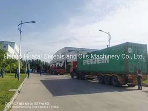 Advanced Ethylene Oxide Sterilization System for Safe Medical Equipment