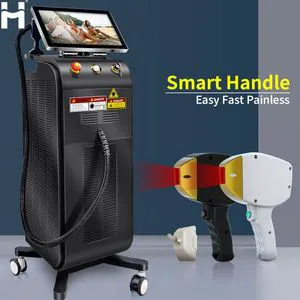 2-Handle Professional Laser Hair Removal Machine 755nm 808nm 1064nm Ice Platinum Permanent Diode Laser Hair Removal Machine