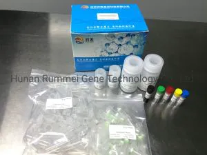 Nucleic Acid Test, Adsorption Column Method Nucleic Acid Testing, Virus Nucleic Acid Detection Kit Nucleic Acid Detection Kit for Virus