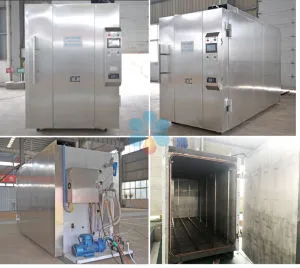 Medical Equipment 20 Cbm Eto Sterilizer, The Biggest Scale Ethylene Oxide Sterilization Equipment
