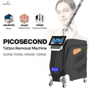 Pico Laser Tattoo Remover Skin Rejuvenate Beauty Machine