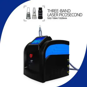 Portable Best Tattoo Removal Machine for Skin Care Acne Spot Removal Picosecond Laser