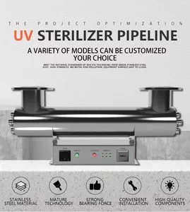 Stainless Steel Water Filter UV Water Sterile Water Treatment Equipment for Swimming Pool