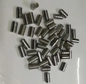 Dental Alloy Co-Cr for Casting