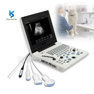 K-H109A Vet Equipment Low Price 12 Inch Veterinary B-Ultrasound
