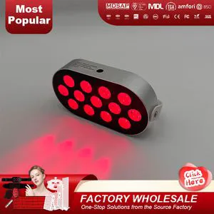 OEM ODM Portable Light Therapy 60W Far Infrared Light Therapy Devices Mini LED Red Light Therapy Panel