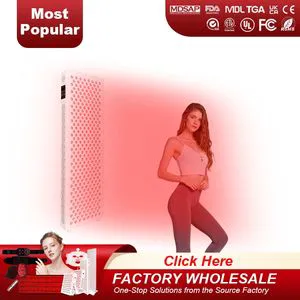 Movable Super Large Far Infrared Therapy Device Red Light Therapy for Home Use Including Wall Bracket