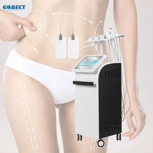 2 in 1 Face Lifting Body Slimming True Sculpting Body Slimming Weight Loss Beauty Equipment