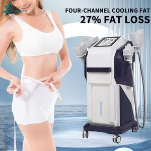 Professional Equipment Cryolipolysis Fat Freeze Body Slimming Machine Weight Loss with 4 Handles