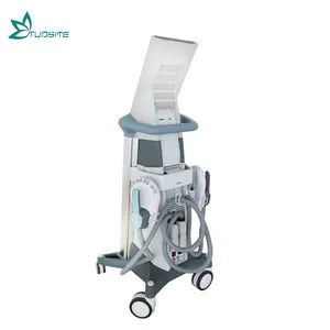 2 Handles Hi-EMT Body Slimming Beauty Machine