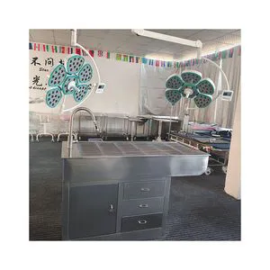 Multi-Functional Animal Care Table for Veterinary Emergency Use