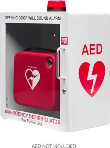 OEM Laser Cutting Bending Punching Stamping Welding Sand Blasting Polishing Brushing Powder Coating Silk Printed Waterproof Tamper Proof Office Aed Cabinet