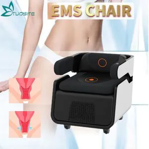2025 Physiotherapy Postpartum Repair Chair EMS Pelvic Muscle Floor Repair Exercise Muscle Building Butt Lifting