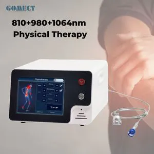 Physiotherapy Laser Therapy 980nm+1064nm+810nm Laser Physiotherapy Machine Pain Relief