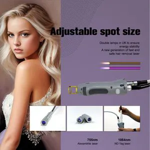 Professional Alexandrite 755nm and ND YAG 1064nm Laser Hair Removal Beauty Equipment
