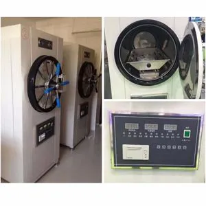 280L Hospital Big Horizontal Autoclave Sterilizer (WS-280YDB)