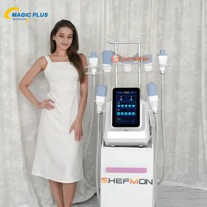 Weight Loss Cryo Machine Remove Double Chin Body Lifting Cryolipolysis Fat Freezing Cryolipolysis Slimming Machine