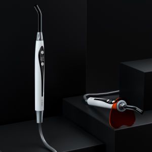 Lk-A101 Economic Woodpecker Quality Built-in Dental Light Cure