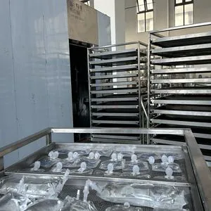 Autoclave Superior Liquid Sanitization System/Bottle Steam Autoclave Sterilization Process