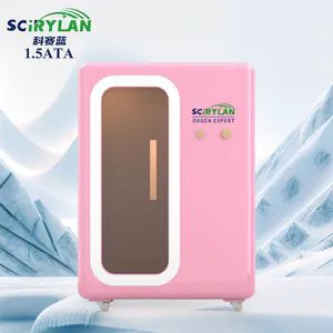 Scirylan Safe Monoplace Hbot Hard Hyperbaric Oxygen Chamber