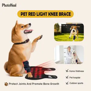 Comfort Fit Red Light Knee Support for Pets with ISO Standard Pet