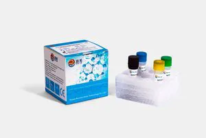 CE ISO Effective Real Time PCR for Virus Variants, Factory Supply Diagnostic Laboratory Freezing Fluorescence PCR Reagent for Hospital Disease