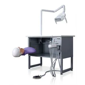 Sjd-OA5p Practice Manikin Head Electric Manual Dental Oral Simulator Unit for School Training
