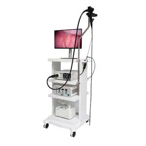 Medical Endoscopy Endoscopic Veterinary Fiber Flexible Camera Vet Endoscope