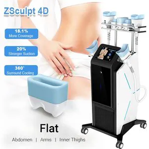 Cryolipolysis Fat Freezing Machine 360 Cryolipolysis Slimming Machine with 4 Handles for Weight Loss Skin Tightening Machine