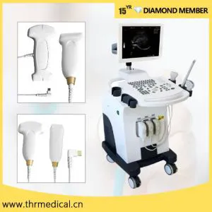 Medical Ultrasound Scanner with Trolley Price for Pregnancy (THR-US370)