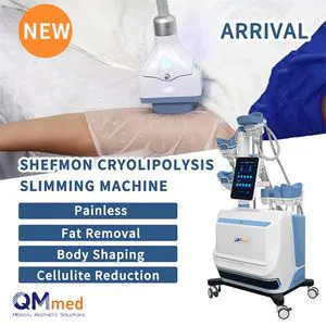 360 Vertical Cryolipolysis Machine 5 Handles Slimming 360 Cryo for Double Chin Head Reduction Microcurrent Plastic Metal Cryolipolysis Fat Freezing Machine