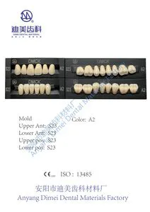 High Hardness Endura Two Layers Resin Polymer Tooth for Dentist About Mold S23