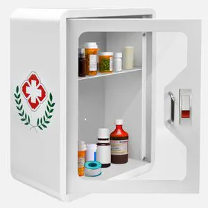 Stainless Steel, Tamper-Proof, for Public Access, Workplace Safety NEMA 4X Rated Weatherproof Outdoor/Indoor Use Powder Coated Medicine Cabinets