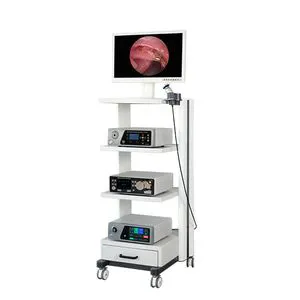 Endoscopy Machine HD 2.6MP for Laparoscopy Rigid Endoscope HDMI USB Record