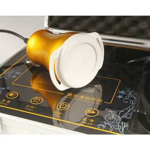 Hnc Biological Machine with Electro Magnetic Field Therapy to Diabetes Treatment